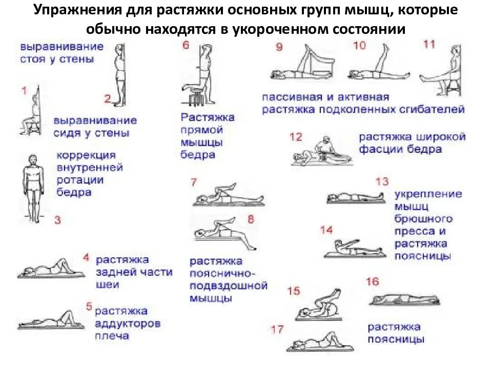 Разновидности ножничных подъемников и их преимущества